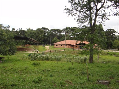 Haras para Alugar