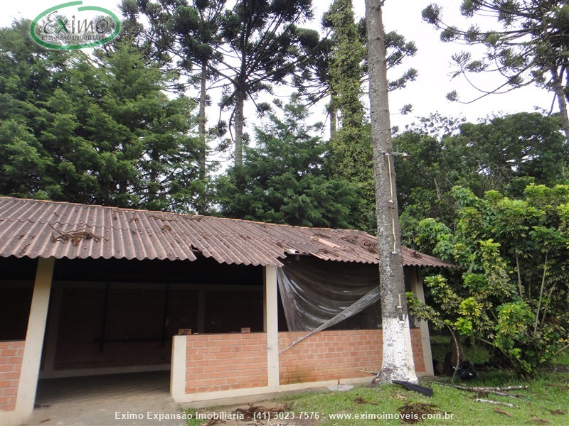 Haras para Alugar no Planta Granjas Eldorado em Piraquara