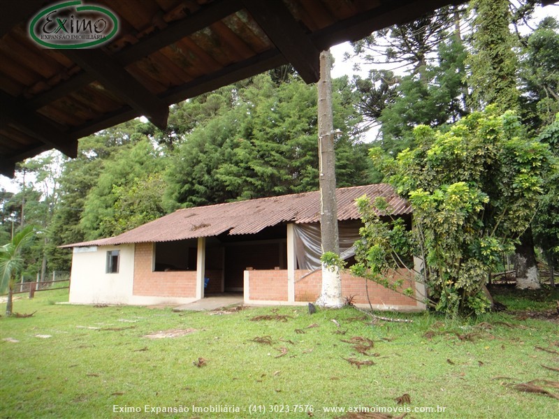 Haras para Alugar no Planta Granjas Eldorado em Piraquara