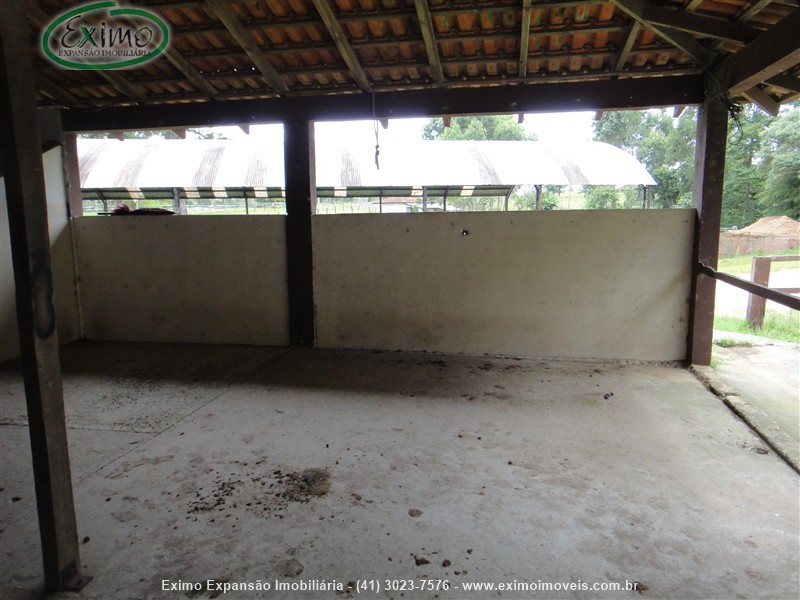 Haras para Alugar no Planta Granjas Eldorado em Piraquara