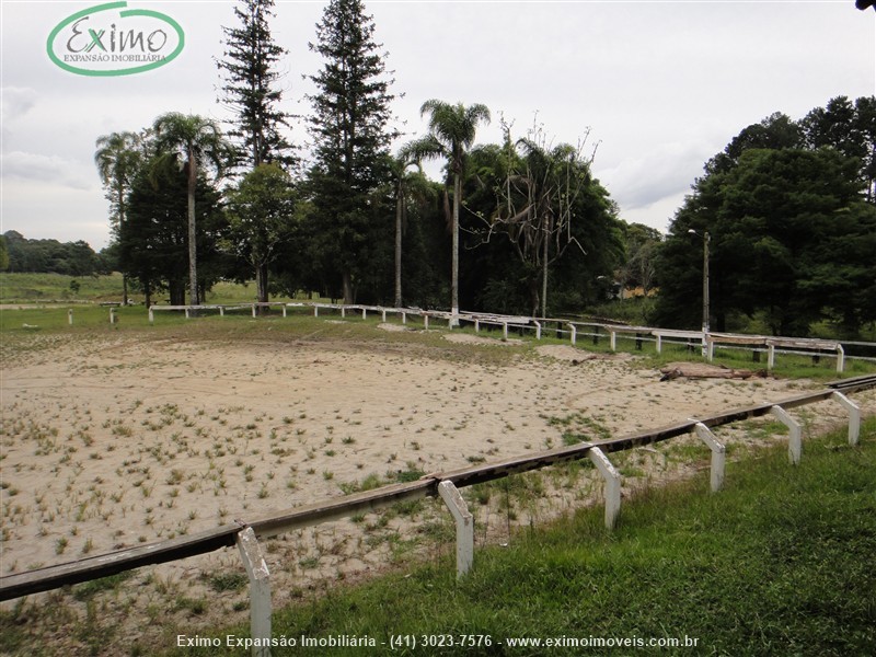 Haras para Alugar no Planta Granjas Eldorado em Piraquara
