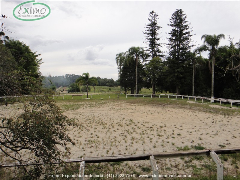 Haras para Alugar no Planta Granjas Eldorado em Piraquara